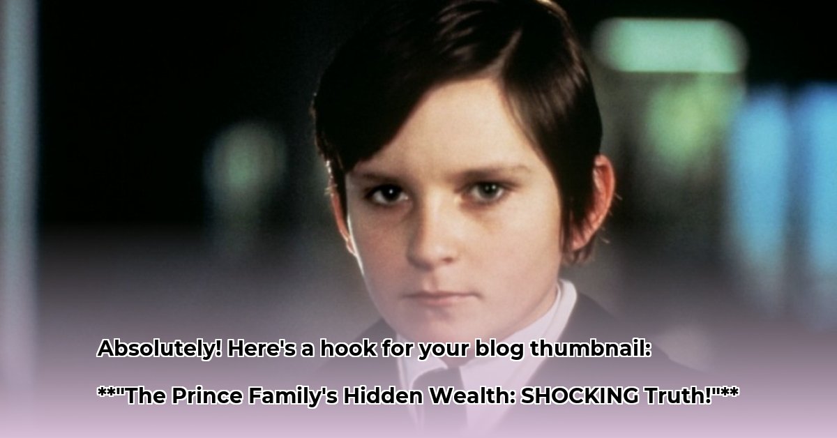 damien-prince-net-worth